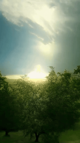 20240424-214045-ezgif.com-video-to-gif-converter