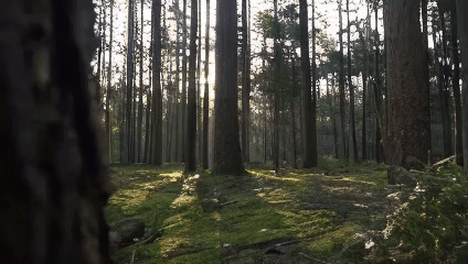 20240425-003003-ezgif.com-video-to-gif-converter