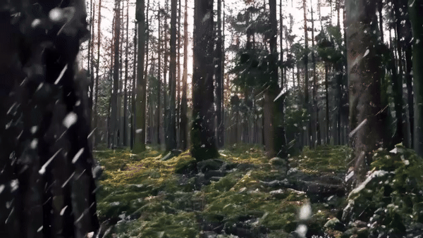 20240425-003011-ezgif.com-video-to-gif-converter
