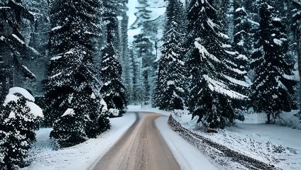 sample_32x240x426_7-ezgif.com-video-to-gif-converter
