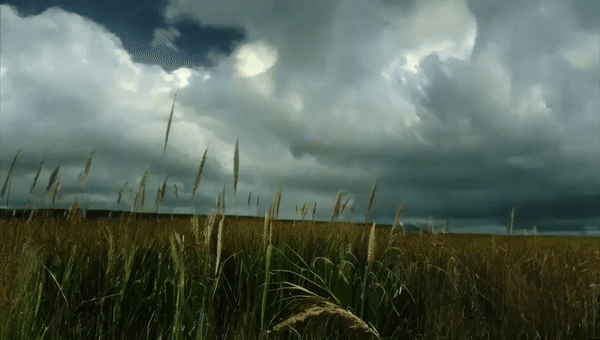 sample_32x480x854_8-ezgif.com-video-to-gif-converter