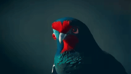 sora_16x240x426_6-ezgif.com-video-to-gif-converter