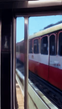 sora_16x426x240_18-ezgif.com-video-to-gif-converter